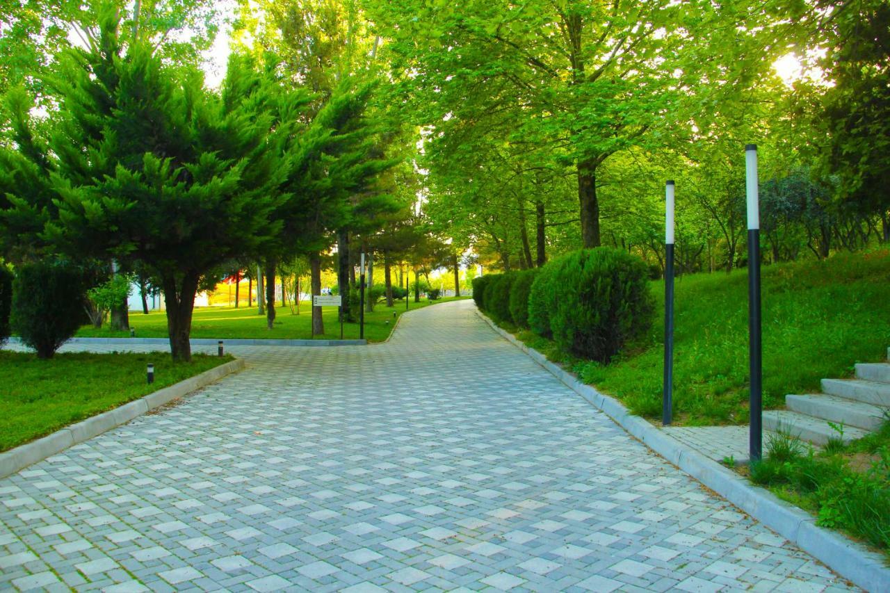 Sheki Olimpiya Hotel & Resort エクステリア 写真