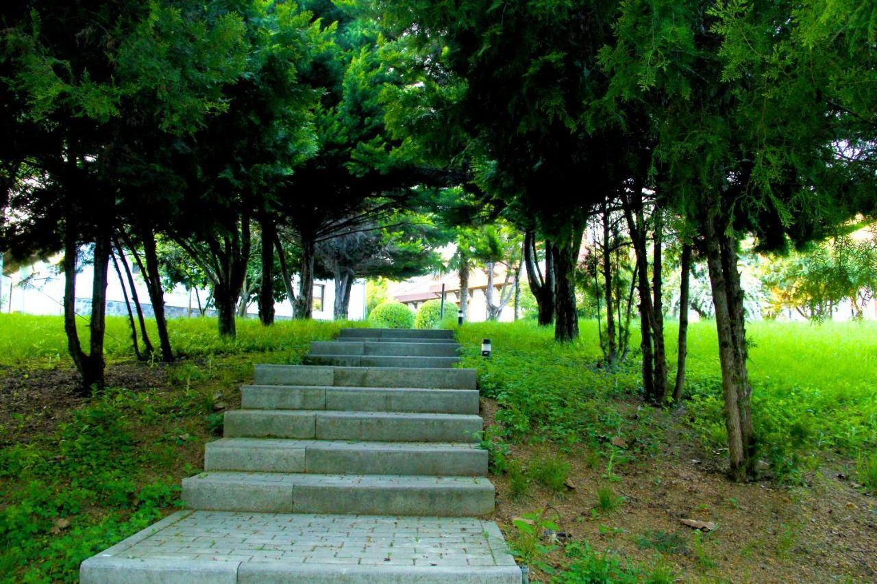 Sheki Olimpiya Hotel & Resort エクステリア 写真